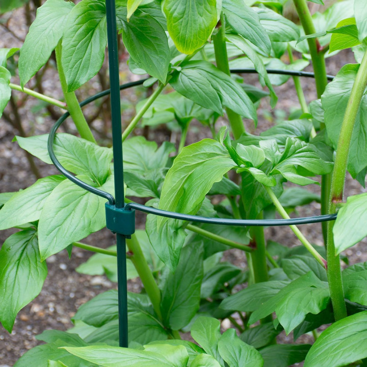 Podpora do roślin z oczkiem śred.7cm / wys.90cm – Bradas