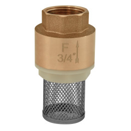Kosz ssący 2" – Ferro