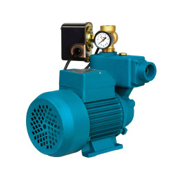 Wzi 750 (0,75 kW, 230 V) pompa hydroforowa z osprzętem – Dambat