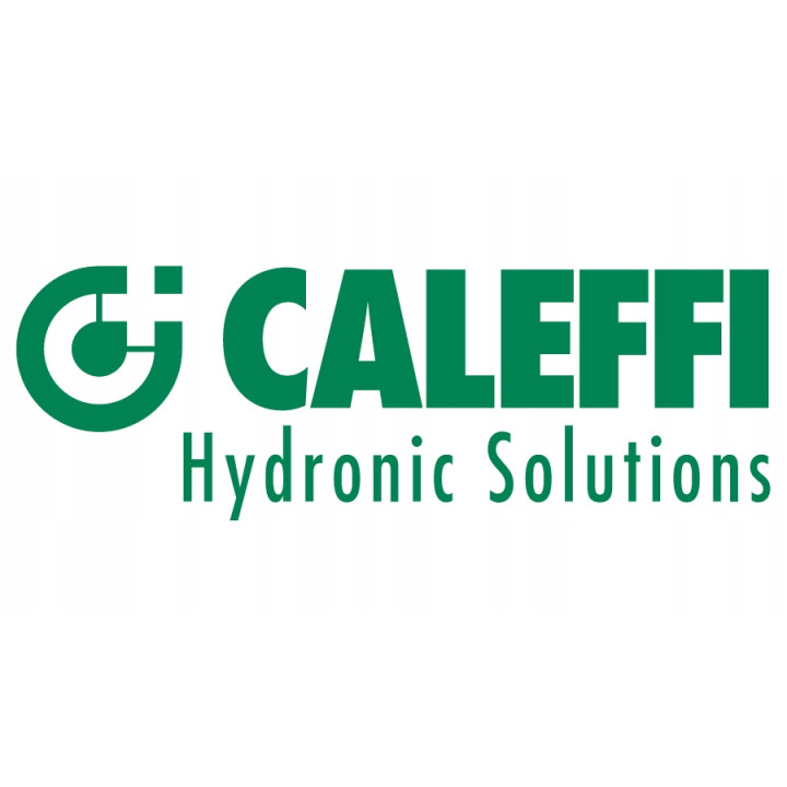 Cleaner fast do centralnego ogrzewania Caleffi C3 puszka 400ML