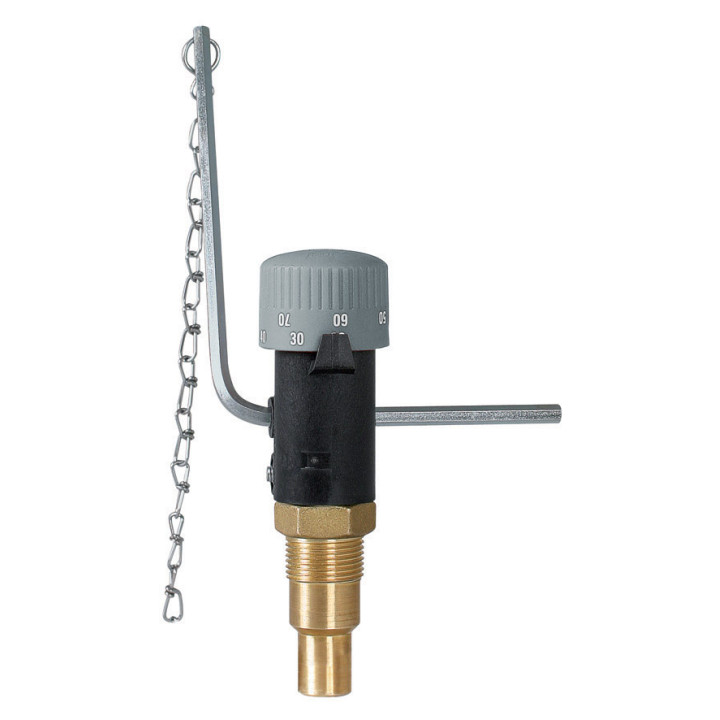 Miarkownik ciągu FR 1, zakres regulacji 30÷90°C, G3/4" – Afriso