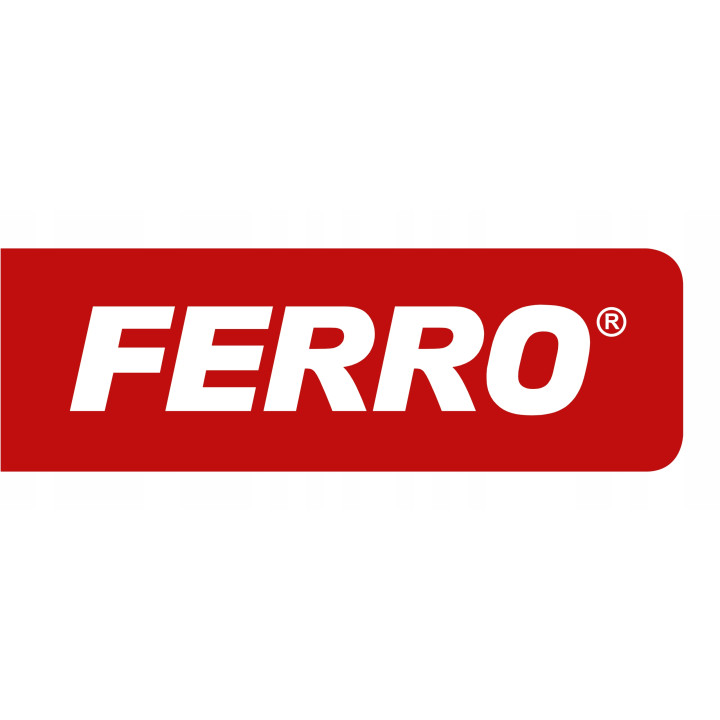 Filtr siatkowy 2" – Ferro