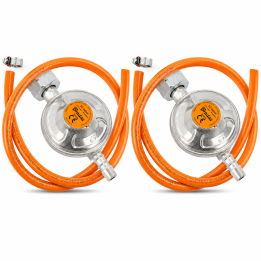 Bundle: 2 × RG A310/Z100