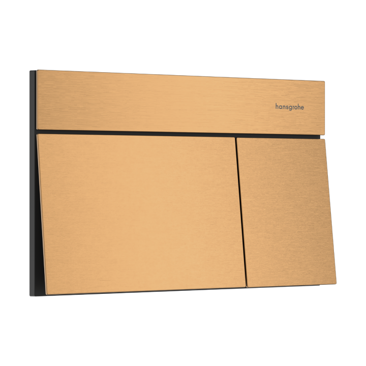 Hansgrohe iFrame Element E Przycisk spłukujący, Brąz Szczotkowany