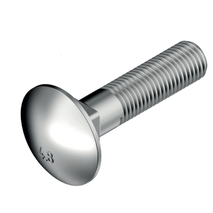 Śruba zamkowa DIN 603 kl. 4.8 M10 × 210 mm Stalco