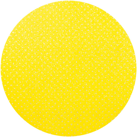 KRĄŻEK ŚCIERNY NA RZEP 225 MM GR  80