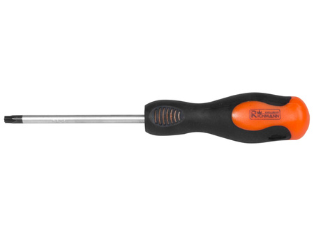 WKRĘTAK TORX T20x100 MM MM CR-MO