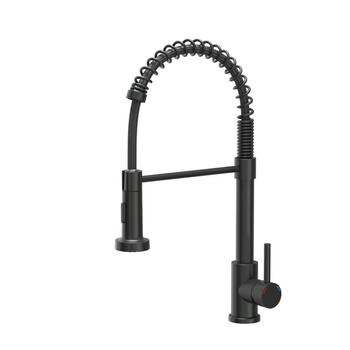 Bateria kuchenna SALMA – stalowa, pure carbon, obrotowa, ruchoma wylewka, z prysznicem, Quadron