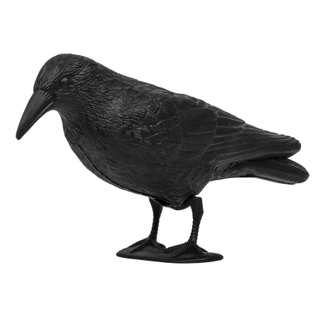 Odstraszacz ptaków Kruk