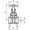 Zawór zasuwany GW-GW, 1"