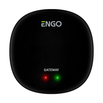 Bramka internetowa ZigBee do urządzeń serii ENGO Smart