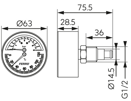 Termomanometr 63 mm 1-2" axialny 0-6 bar, 0-120°C