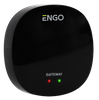 Bramka internetowa ZigBee do urządzeń serii ENGO Smart