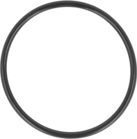 Uszczelka toroidalna do filtrów olejowych zintegrowanych z odpowietrznikiem FloCo-Top-1C/-2C